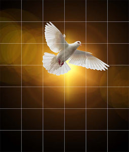 Christian photo showing dove with wings spread and golden sun and rays behind it