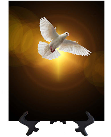 Main Holy Spirit in the form of a dove with the sun and its golden rays in the background & no background